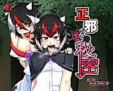 Cover image for the other called Touhou Project dj - Seija-kun no Himitsu