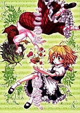 Cover image for the other called Touhou Project dj - Kokoro ni Hana o.