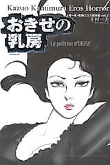 Cover image for the manga called Okise no Chibusa