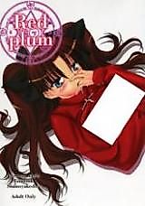 Cover image for the other called Fate/Stay Night dj - Red Plum