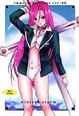 Cover image for the other called Rosario to Vampire dj - Winters Sturm