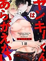 Cover image for the manga called Yankee-kun wa Aragaenai