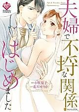 Cover image for the manga called Fuufu de Furachina Kankei Hajimemashita