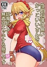 Cover image for the other called 性的知識の無いかっこいいさんを誤魔化して無責任エッチする感じです (虹裏メイド)