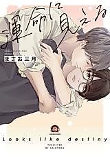 Cover image for the manga called Looks Like Destiny
