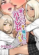 Cover image for the manga called Stray Gyaru Harem