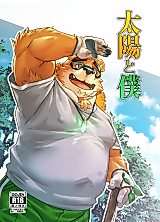 Cover image for the other called Tokyo Houkago Summoners dj - Taiyou to Boku