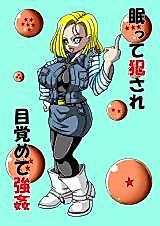 Cover image for the other called Dragon Ball Z dj - Nemutte Okasare Mezamete Goukan