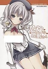 Cover image for the other called Dangerous Kashima-san