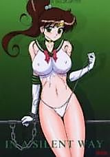 Cover image for the other called Sailor Moon dj - In a Silent Way