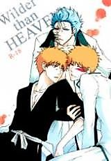 Cover image for the other called Bleach dj - Wilder than Heaven