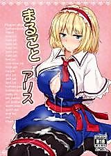 Cover image for the other called Touhou Project dj - Marugoto Alice
