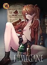 Cover image for the other called Shin Seiki Evangelion dj - Himegane