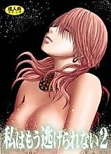 Cover image for the other called Final Fantasy XIII dj - Watashi wa Mou Nigerarenai