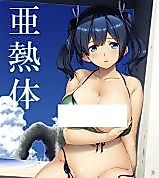 Cover image for the other called Kantai Collection dj - Anetsutai
