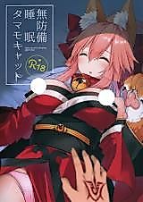 Cover image for the other called Tamamo cat is sleeping. (Fate/Grand Order)