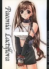 Cover image for the other called Final Fantasy VII dj - Paeonia Lactiflora