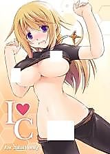 Cover image for the other called Infinite Stratos dj - IC
