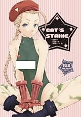 Cover image for the other called Street Fighter dj - Cat's Strike