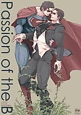 Cover image for the other called Justice League dj - Passion of the B