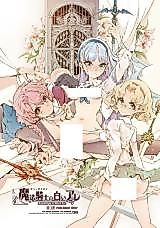 Cover image for the other called 魔法騎士の白いアレ (魔法騎士レイアース)