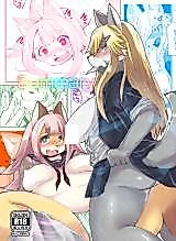 Cover image for the other called Summary