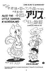 Cover image for the manga called Alice the Little Squirrel in Wonderland