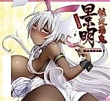 Cover image for the other called Soukou Akki Muramasa dj - Seikou Akki Kageaki Hebereke Usagi Hen