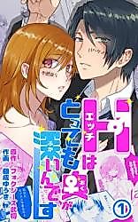 Cover image for the manga called H wa Tottemo Okugafukain desu
