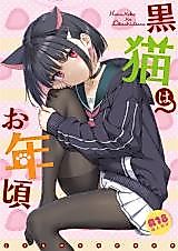 Cover image for the other called Blue Archive dj - Kuroneko wa Otoshigoro