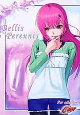 Cover image for the other called Hayate no Gotoku! dj - Bellis Perennis
