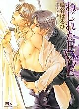 Cover image for the novel called Answer