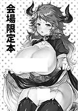 Cover image for the other called Granblue Fantasy dj - Kaijou Genteibon