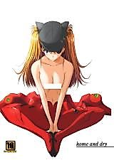 Cover image for the other called Shin Seiki Evangelion dj - home and dry