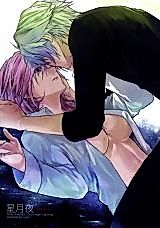 Cover image for the other called Final Fantasy XIII-2 - Hoshizukiyo (Doujinshi)