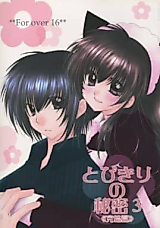 Cover image for the other called Inuyasha dj - Tobikiri no Himitsu