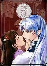 Cover image for the other called Inuyasha dj - Biyaku Kouka