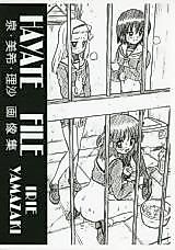 Cover image for the other called Hayate no Gotoku! dj - Hayate File