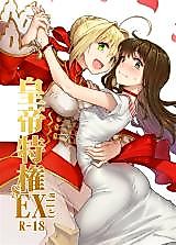 Cover image for the other called Fate/EXTELLA dj - Koutei Tokken sEXtella