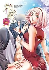 Cover image for the other called Naruto dj - Hana ni You