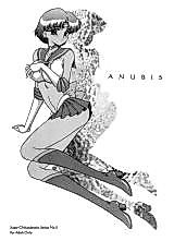 Cover image for the other called Bishoujo Senshi Sailor Moon dj - Anubis