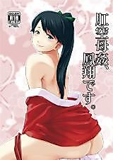 Cover image for the other called Kantai Collection dj - Koukuu Bokan, Houshou desu.