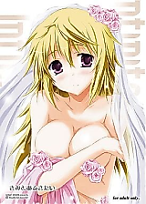 Cover image for the other called Infinite Stratos dj - Kimi to Aru Kitai.