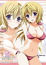 Cover image for the other called Infinite Stratos dj - Kimi ga Hoshikute Tamaranai.