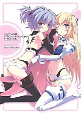 Cover image for the other called Busou Shinki dj - Small Package Hold.