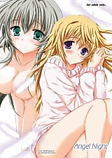 Cover image for the other called Angel Night