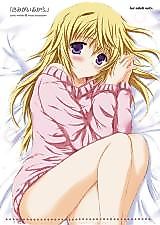 Cover image for the other called Infinite Stratos dj - Kimi ga Iru kara
