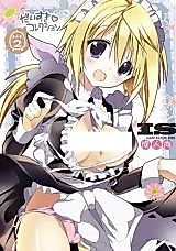 Cover image for the other called Infinite Stratos dj - Daisuki Collection