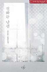 Cover image for the novel called Ideal Husband