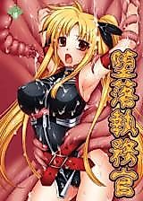 Cover image for the other called Mahou Shoujo Lyrical Nanoha dj - Daraku Shitsumukan